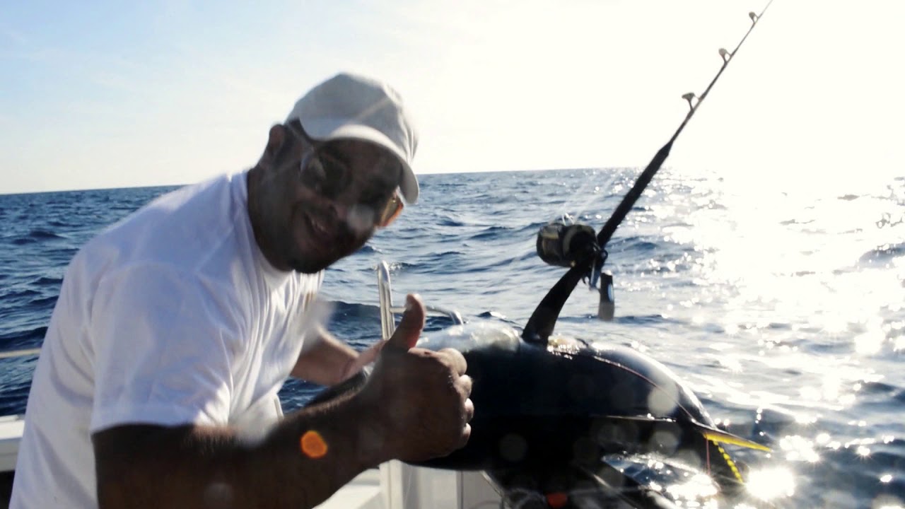 Horgászengedélyek az Adrián