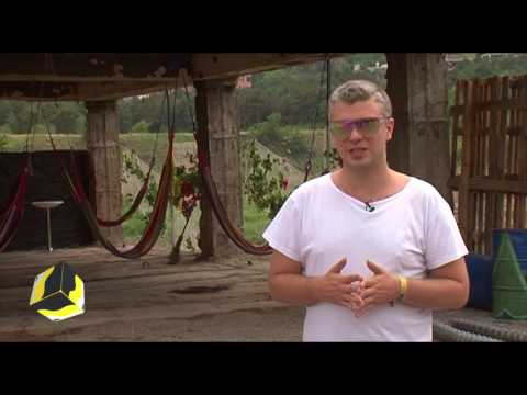 რის გამო იხურება Set Fest და რა კავშირი აქვს ფესტივალის გაქრობასთან მთავრობას