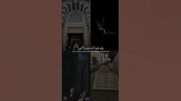 الآية ٤ من سورة الفتح بصوت القارئ عبدالرحمن مسعد 💕.