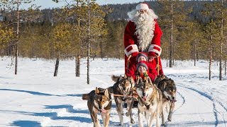 Santa Claus \& husky dogs in Lapland 🐕🎅 huskies with Father Christmas for children Finland Rovaniemi