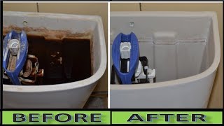 How To Clean a Toilet Tank at Home || Just easy and best techique