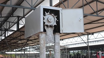 Chain Manure Scraper - Dairy Farm Machines