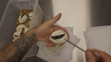 Chocolate Banana Clown Egg Cutting!