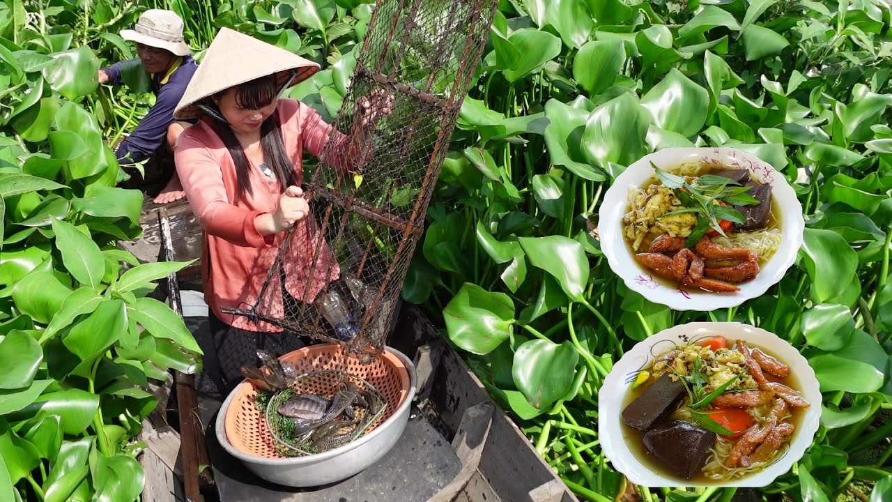 Dở Lợp Cá Lóc Mùa nước rút được nồi Bún cá thơm ngon | HQ #1388