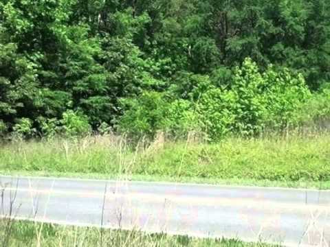 202 Lincoln Rd, York, SC home video tour