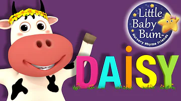 DAISY - Spelling Song | Nursery Rhymes for Babies by LittleBabyBum - ABCs and 123s