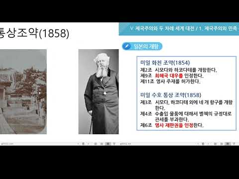 세계사 일본의 개항과 근대화 운동