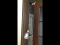 猫用ゆっくり閉まる自動閉ドア