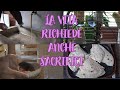 VLOG - alcune PRECISAZIONI, TRIANGOLI di PIADINE e PULIZIA delle CASETTE dei miei animali!