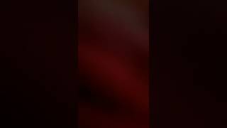 Download Lagu ✨ HIGHLIGHTS vlogs November 24,2025 #✨ #HIGHLIGHTS #vlogs MP3