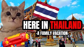 CAT MEMES: HERE IN THAILAND PT.2
