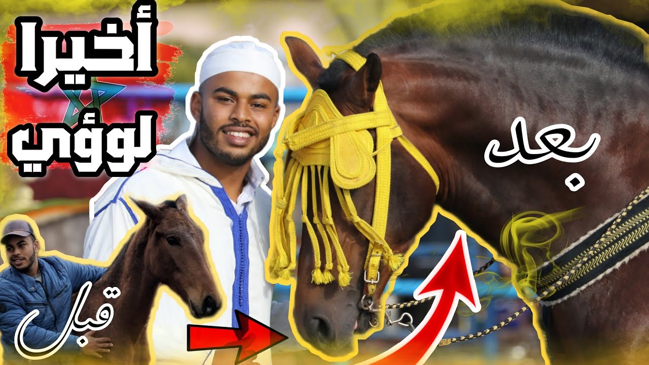 من بعد ما غياب طويل هاهوا لوؤي كيولا ماشاء❤️ الله وشوفوا رضت فعل ناس مالي شافوه داز نهار سبيسيال 😱