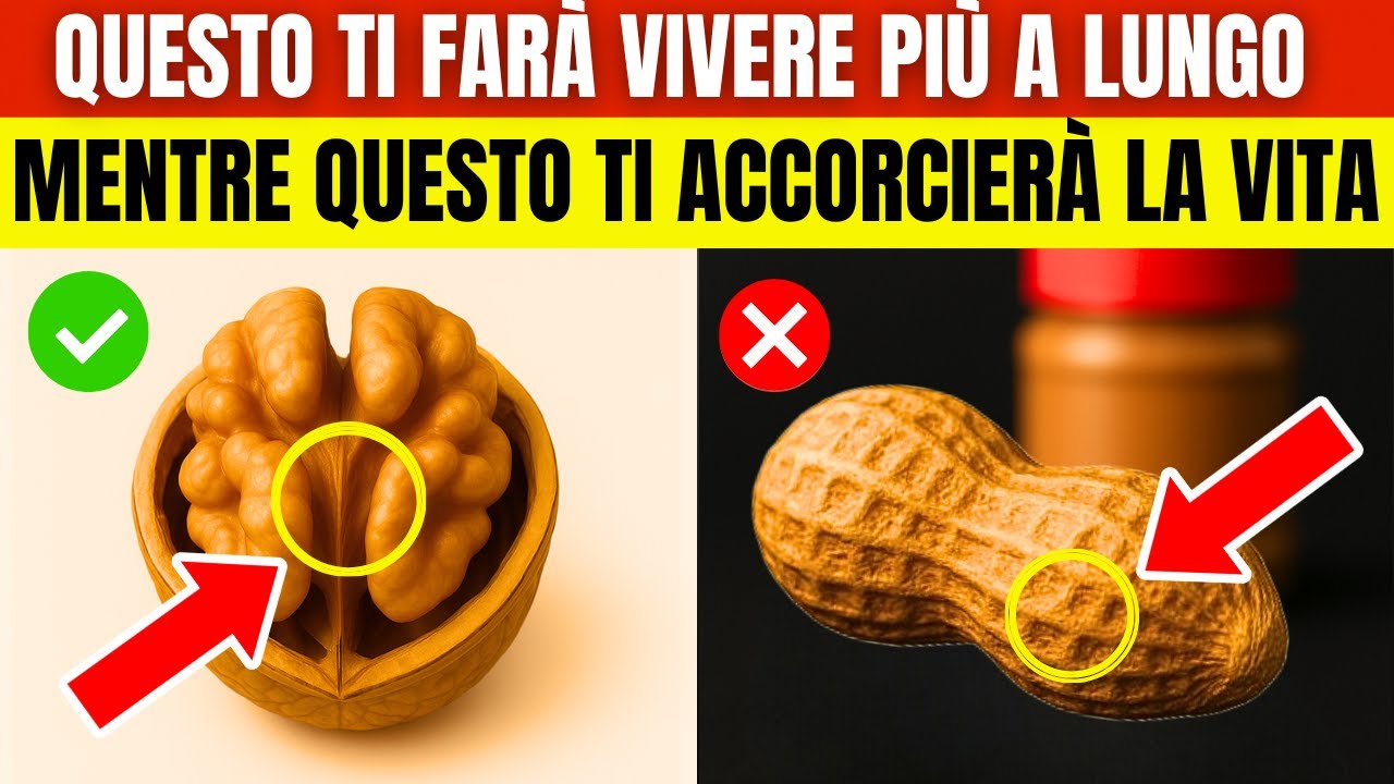 Hai più di 65 anni? ECCO 4 noci che DOVRESTI mangiare e 4 che NON ...