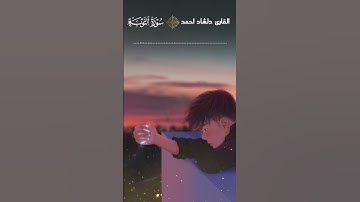 تلاوة عطرة ارح قلبك ومسمعك بها😴🎧💙 القارئ دلشاد احمد سورة التوبة.