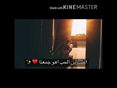 تامر حسني اللحظة الحلوة