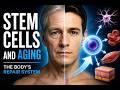 Stem Cells: The Repair System That Ages With You