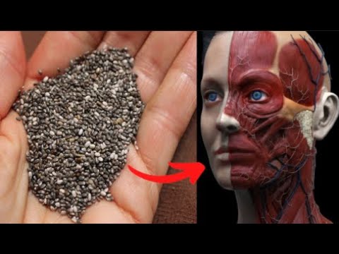 O que acontece quando você começa a comer sementes de chia todos os dias , veja os benefícios