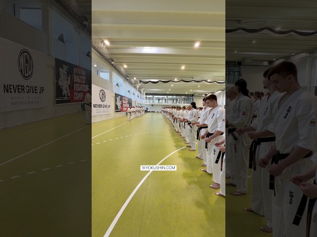 Baltic Fighting Camp 2026 #kyokushin #shinkyokushin #karate #1kyokushin #一極真 #極真会館