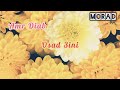 Amr Diab - Isad 3ini/ In Front Of My Eyes (Lyrics video