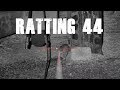 Ratting44 (June 2019)