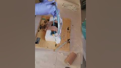 3D Printed surgical airway trainer demonstration