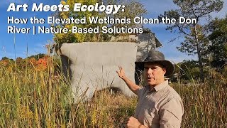 Art Meets Ecology: How the Elevated Wetlands Art Meets Ecology: Clean the Don River | Nature-Based S