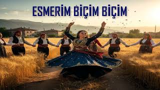 Esmerim Biçim Biçim Resimi