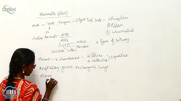 PH Tetrapoda || Mammalia 2 || Disk Telangana