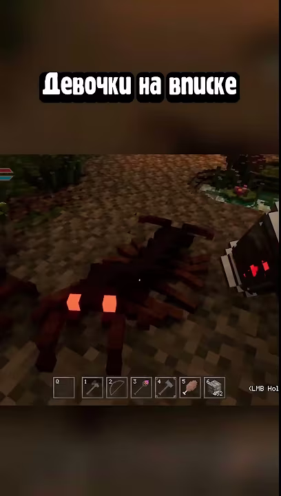 Девочки на вписке #layoftheland #survival #minecraft