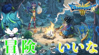 【ドラゴンクエストIII そして伝説へ…】冒険っていいな＃5　ドラクエ３リメイク（ネタバレあり）