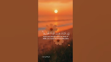 تلاوة هادئة للشيخ المنشاوي #راحة_نفسية