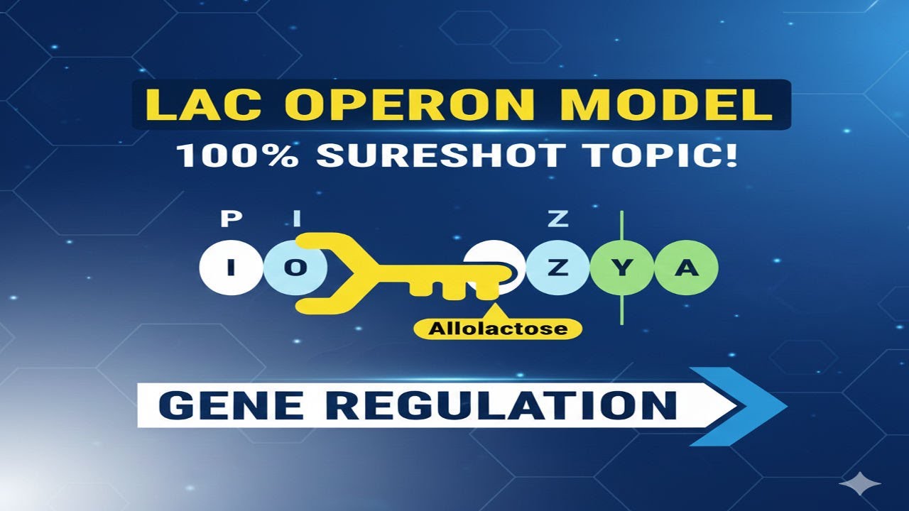 The Lac Operon Model Day-14 40 Days 40 Sureshot topics class 12 Biology ...