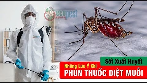 🔴 Những điều cần biết khi PHUN THUỐC DIỆT MUỖI phòng dịch SỐT XUẤT HUYẾT tại nhà