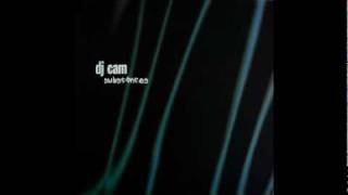 Dj Cam - Meera [substances].avi