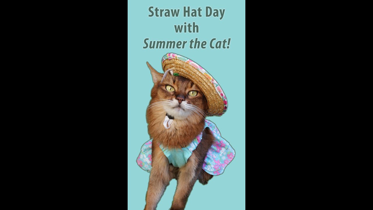 It’s Straw Hat Day and Summer Shows Off Her Cute Cat Hat Fashions 