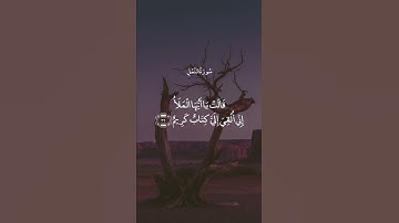إِنَّهُ مِنْ سُلَيْمَانَ وَإِنَّهُ بِسْمِ اللَّهِ الرَّحْمَٰنِ الرَّحِيمِ || سورة النمل || علي جابر