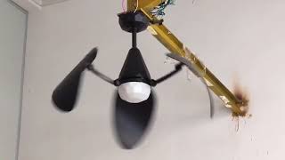 DC Lotus fan video - Black