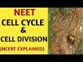 Cell Cycle & Cell Division/Class 11/NCERT/Quick Revision Series/NEET/AIIMS/2019/By Beats For Biology