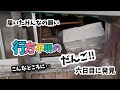 【行方不明六日目に発見】頑張って居場所を知らせてくれた『だんご』救出‼︎