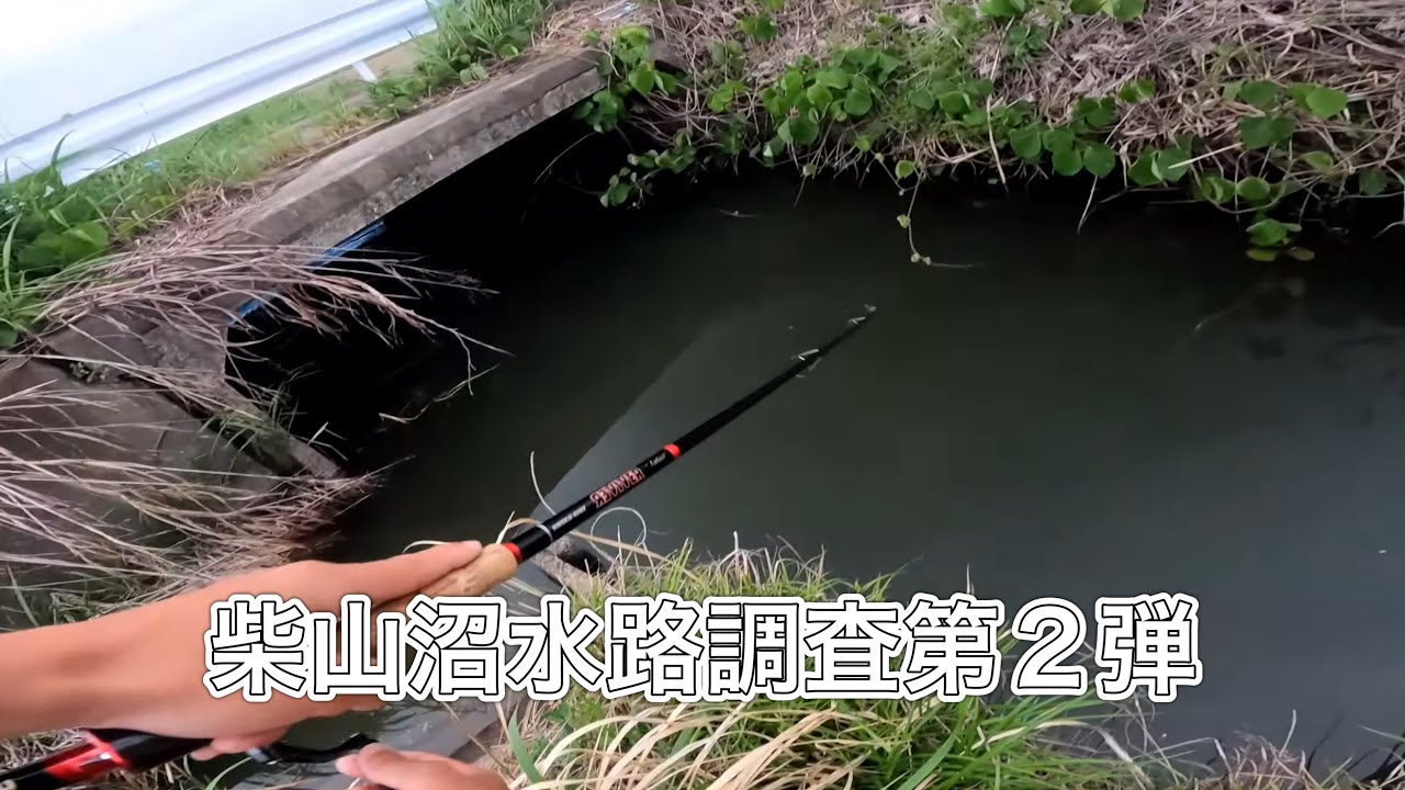 釣り　川　湖沼 SALT Dreamer #076 Sea bass fishing in Lake Hinuma, Ibaraki