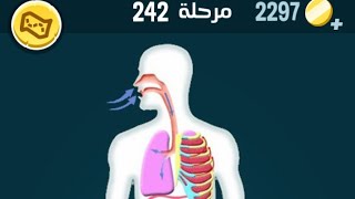 كلمات كراش 242 كلمات كراش ٢٤٢