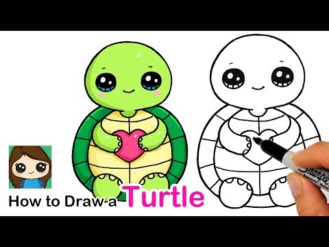 Video: How To Draw A Turtle: Step By Step Instructions