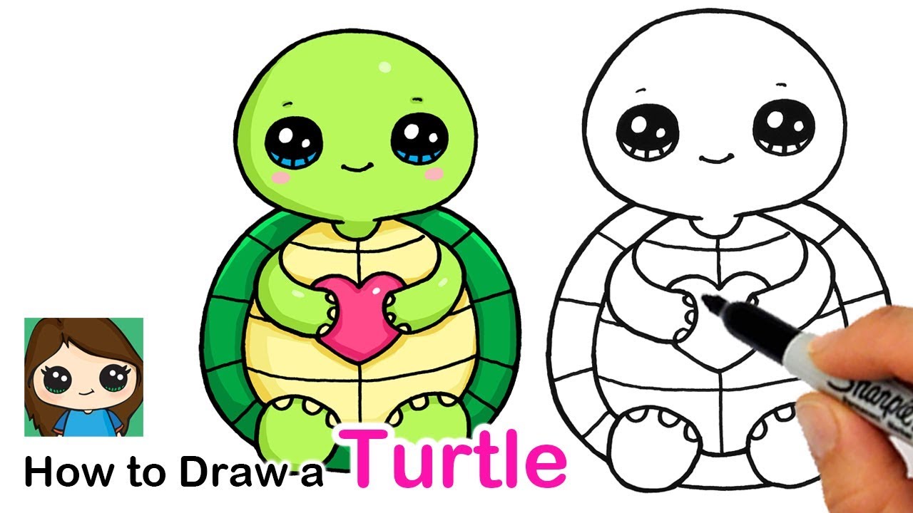 how to draw a cute turtle