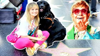 Taking My Guide Dog, Elton John, To The Last Elton John Concert! (a very special Elton John day!)