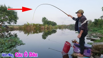 Cách Khắc Phục Tình Trạng Không Báo Phao Khi Cá Diếc Ăn Mồi | Hôm Nay Câu Ở Đâu tập 16