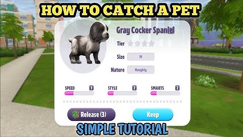 Virtual Sim Story: Dream Life - How to Catch a Pet (Simple Tutorial)