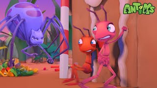 sweet home sweet trap antiks learn laugh silly moments kids