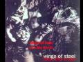 Wings Of Steel - Into My World