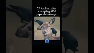 CA Aspirant Who appeared for AFM exam 💥🫡