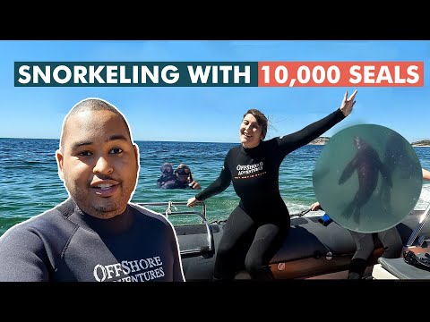 Best things to do Plettenberg Bay South Africa